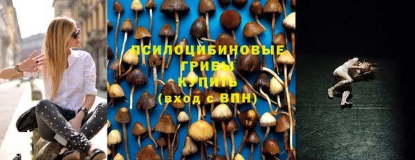 PSILOCYBIN Богородск