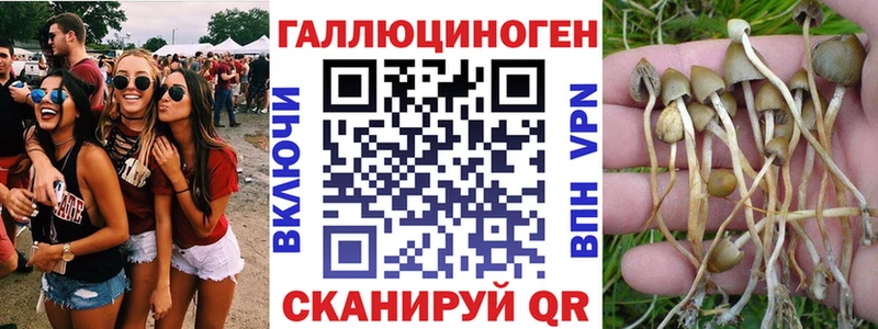 Галлюциногенные грибы GOLDEN TEACHER  где найти   Торжок 